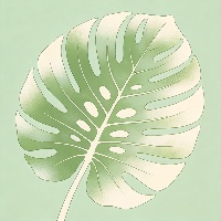 王*硕